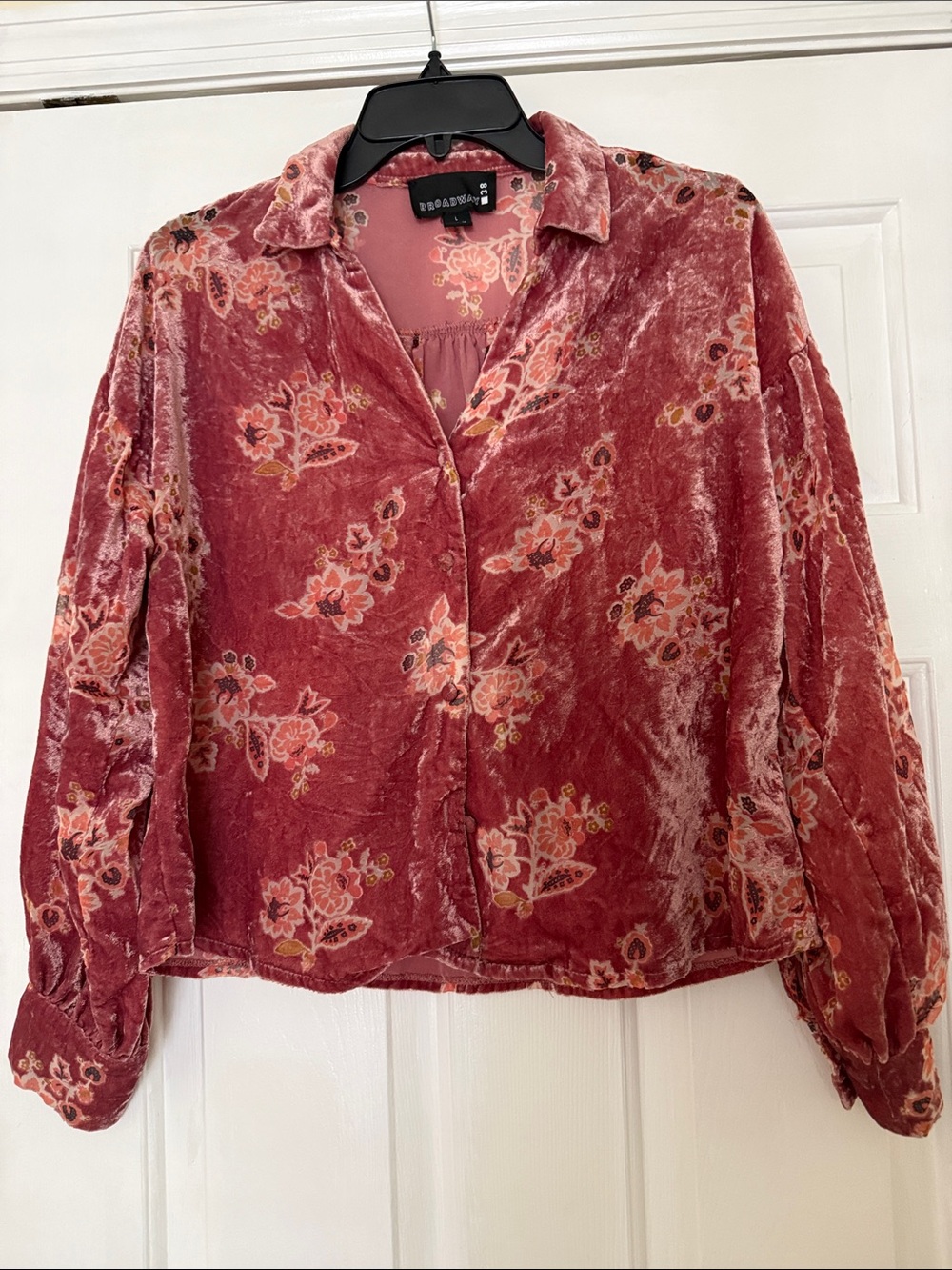Crushed Velvet Floral Button-Down Shirt in Rose